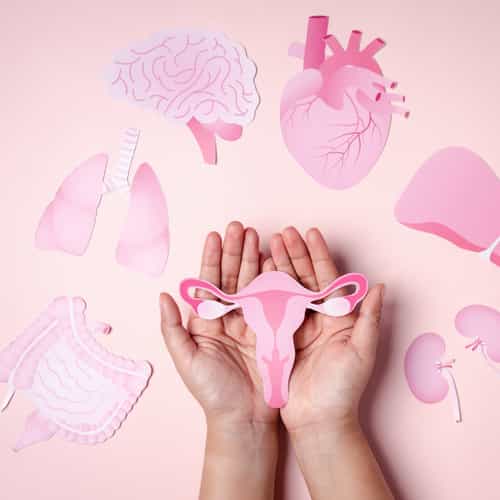 انخفاض احتياطي المبيض: دليل مفصل لفهم وإدارة الخصوبة